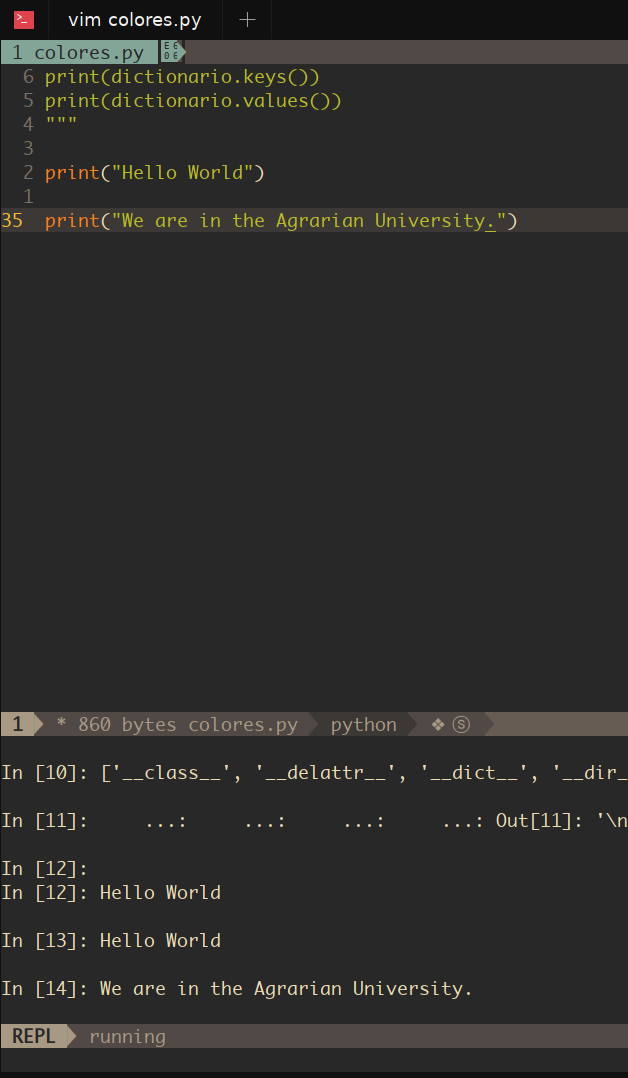 SpaceVim-repl.